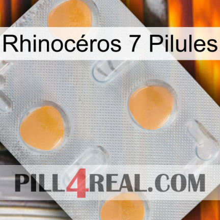Rhinocéros 7 Pilules 24